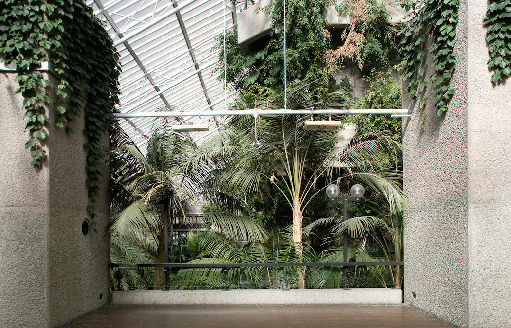 THE BARBICAN CONSERVATORY THE BARBICAN CONSERVATORY