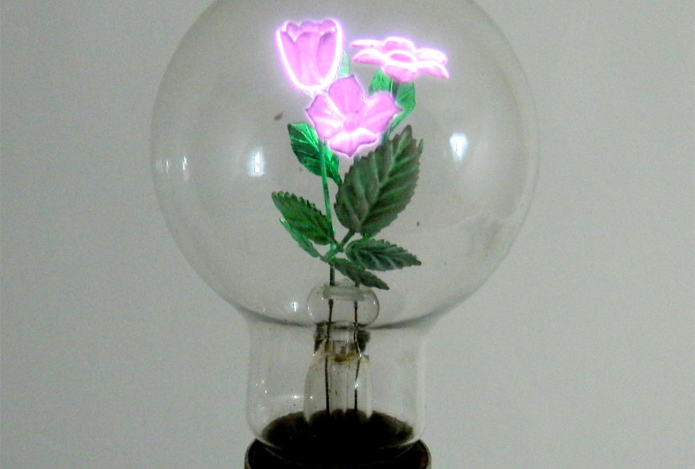 FLORAL LIGHT BULBS FLORAL LIGHT BULBS