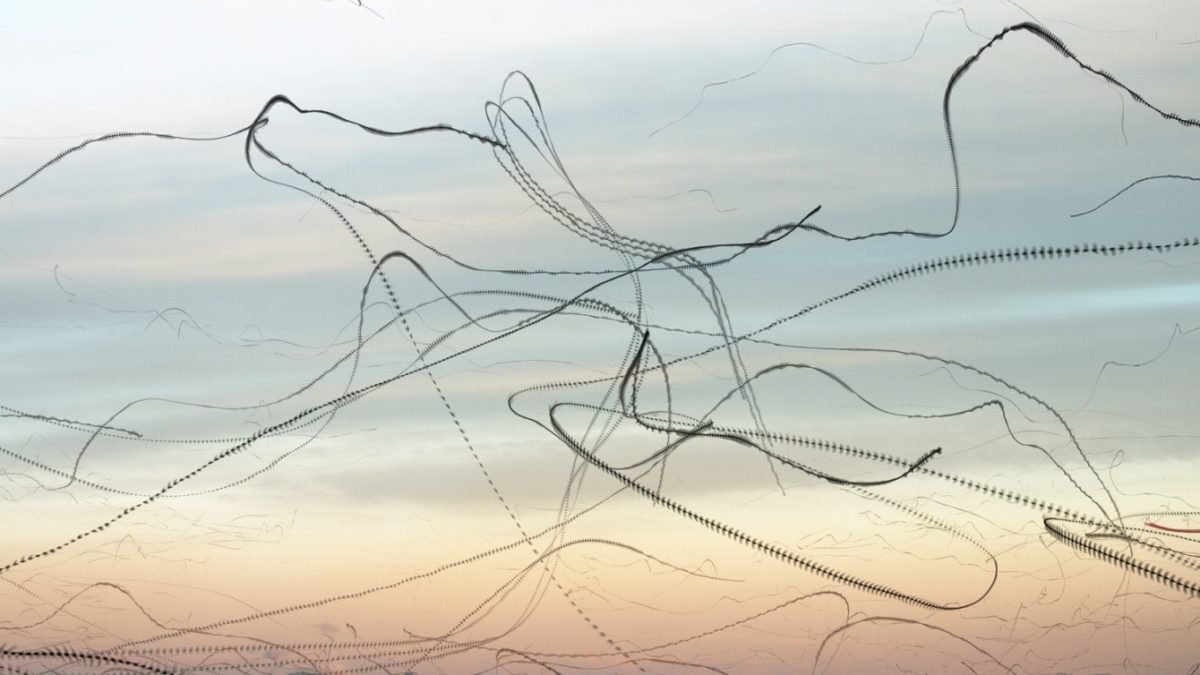 ORNITOGRAPHIES ORNITOGRAPHIES