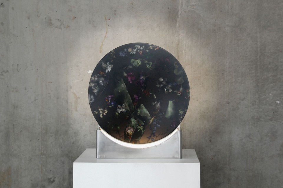 FLORA COLLECTION_Marcin Rusak FLORA COLLECTION_Marcin Rusak