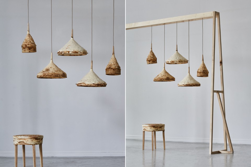MYCELIUM+TIMBER MYCELIUM+TIMBER